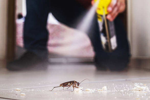 Best Affordable Pest Control Services  in Centerfield, UT