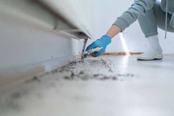 Best Affordable Pest Control Services  in Centerfield, UT